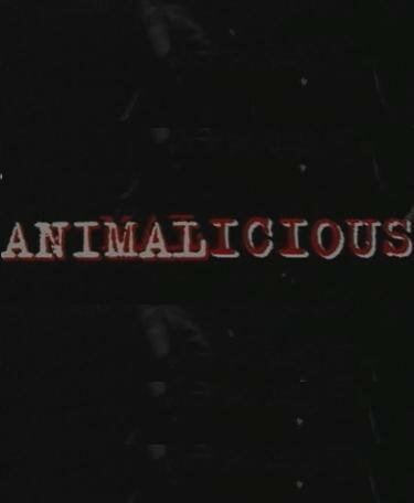 Animalicious mp4