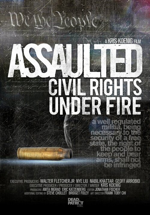 Assaulted: Civil Rights Under Fire mp4