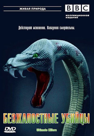 BBC: Безжалостные убийцы mp4 BBC: Безжалостные убийцы mp4
