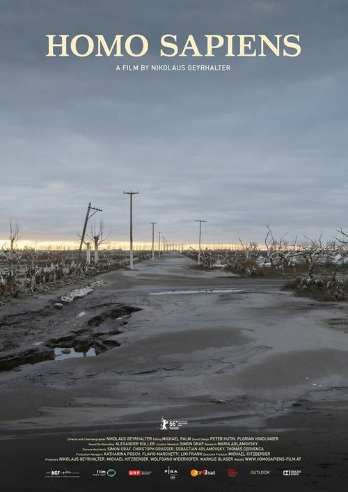 Человек разумный mp4