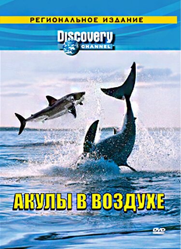 Discovery: Акулы в воздухе mp4