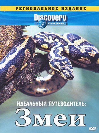 Discovery: Идеальный путеводитель. Змеи mp4