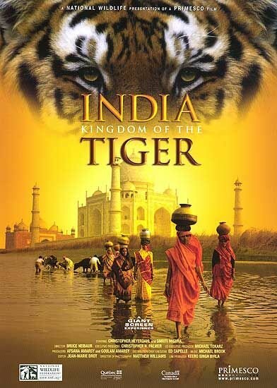 India: Kingdom of the Tiger mp4