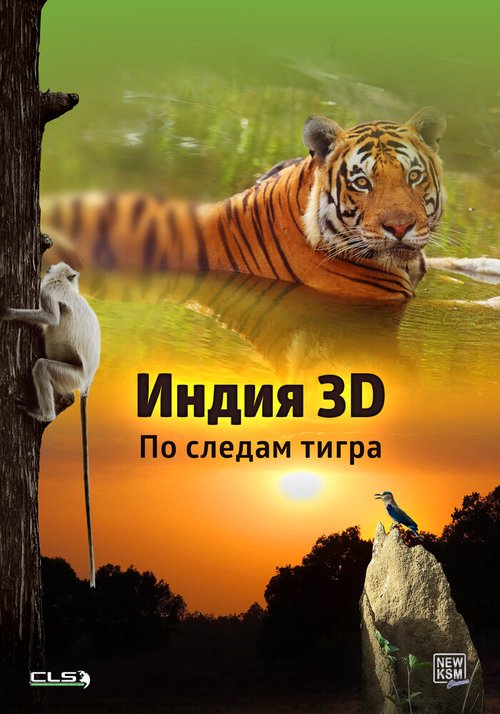 Индия 3D: По следам тигра mp4