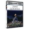 Jane Goodall: Reason for Hope mp4