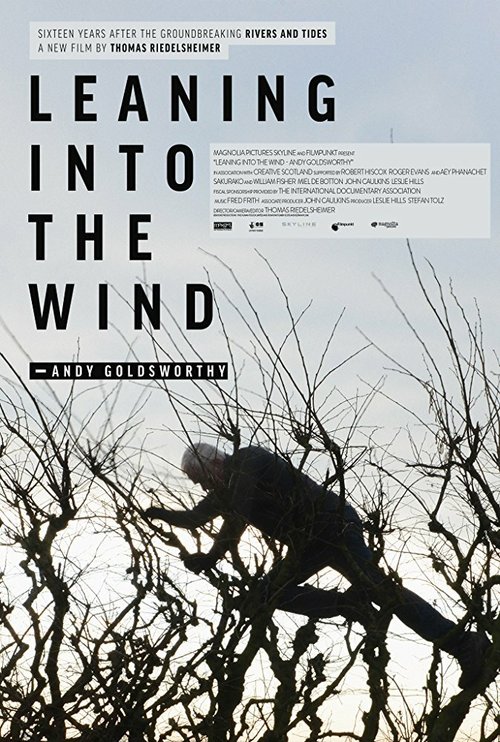 Leaning Into the Wind: Andy Goldsworthy mp4