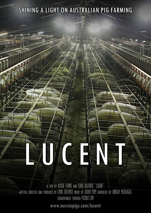 Lucent mp4