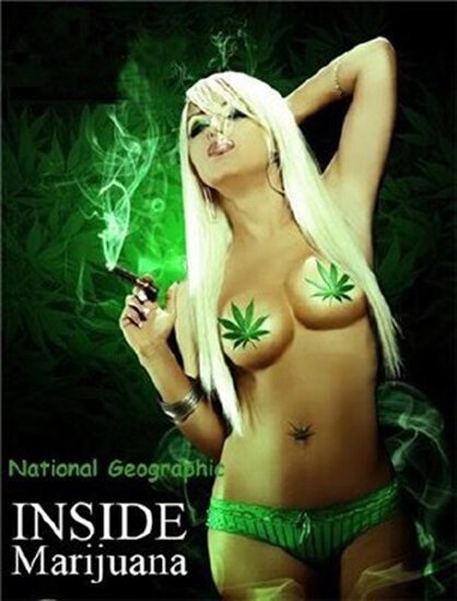 Marijuana Inc: Inside America's Pot Industry mp4