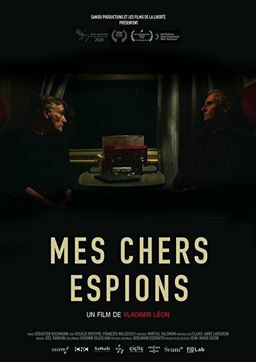 Mes chers espions mp4