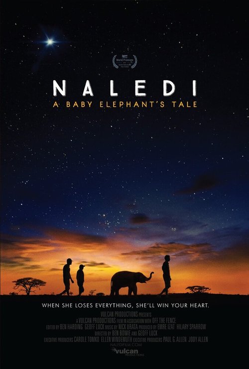 Naledi: A Baby Elephant's Tale mp4