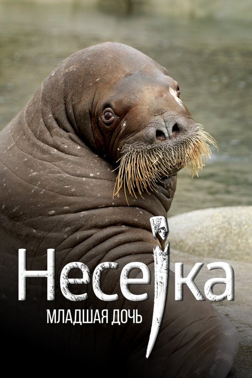 Несейка. Младшая дочь mp4