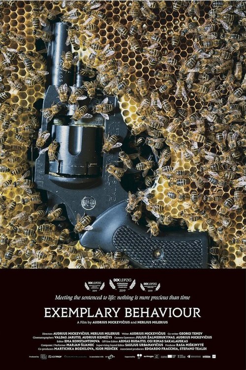 Примерное поведение mp4