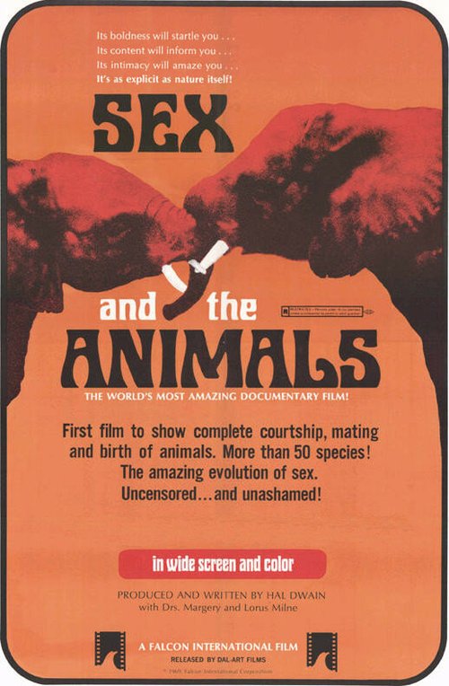 Sex and the Animals mp4