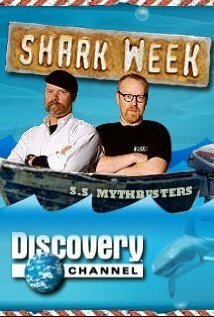 Shark Hunter: Chasing the Great White mp4