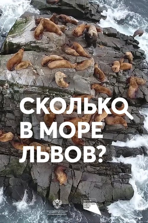 Сколько в море львов? mp4