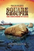 Square Grouper mp4