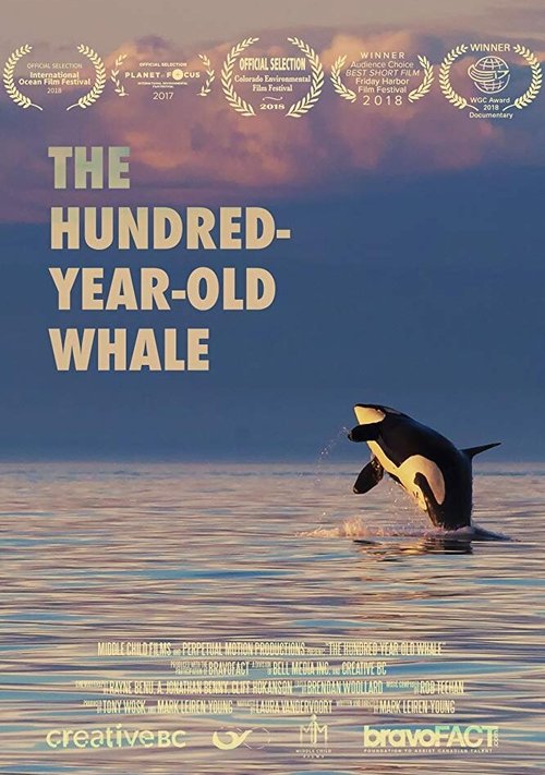 The Hundred Year Old Whale mp4