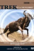 Trek: Spy on the Wildebeest mp4