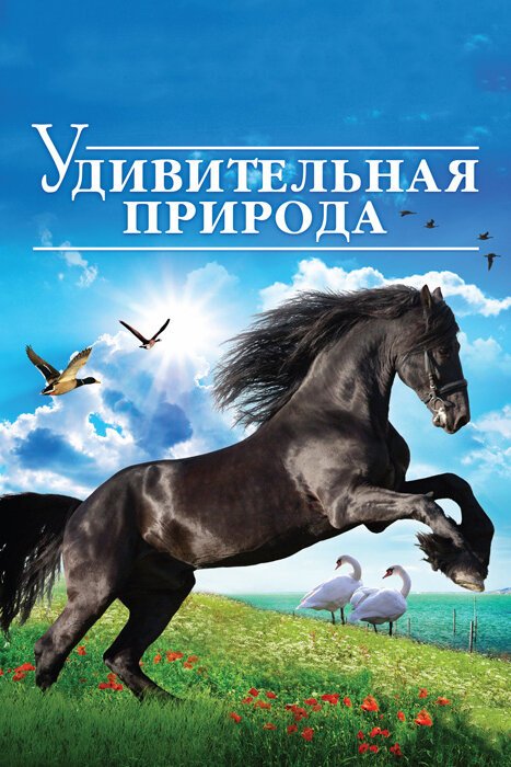 Удивительная природа 3D mp4