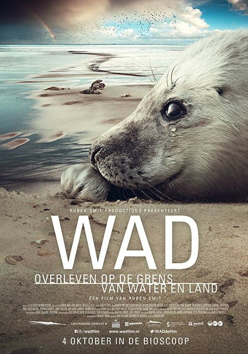 Wad: Overleven op de Grens van Water en Land mp4