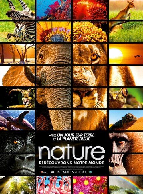 Заколдованное королевство 3D mp4