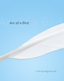 Arc of a Bird mp4