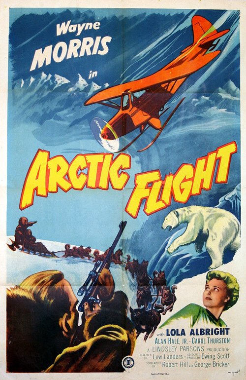 Arctic Flight mp4