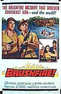 Brushfire mp4