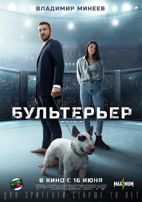 Бультерьер mp4