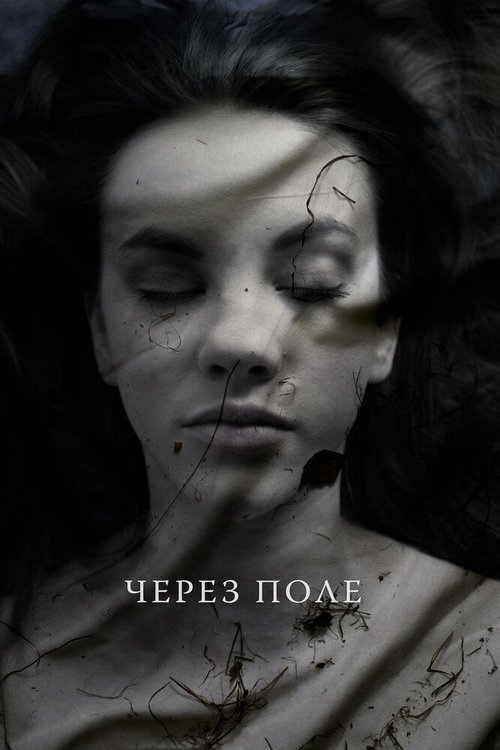 Через поле mp4