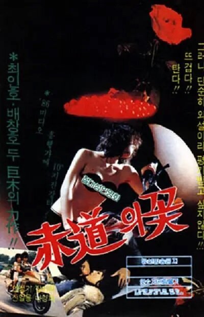 Цветок экватора mp4