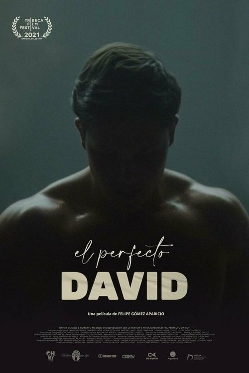 El perfecto David mp4