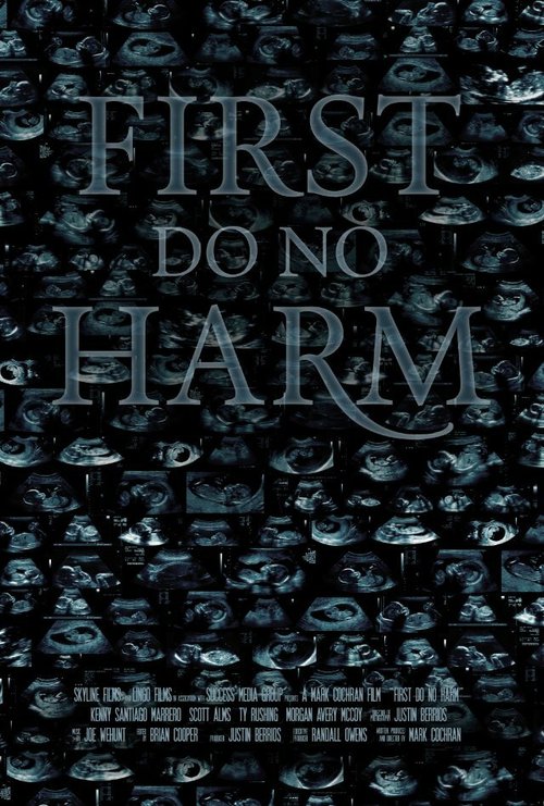 First, Do No Harm mp4