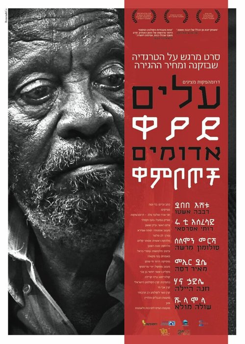 Красные листья mp4