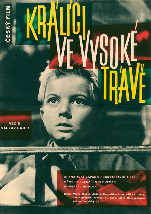 Кролики в высокой траве mp4