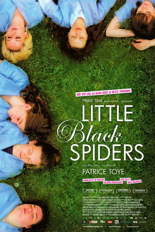 Little Black Spiders mp4