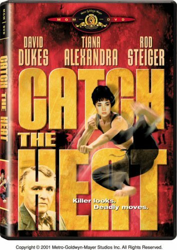 Лови полицейского mp4