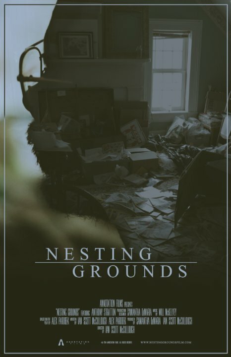 Nesting Grounds mp4