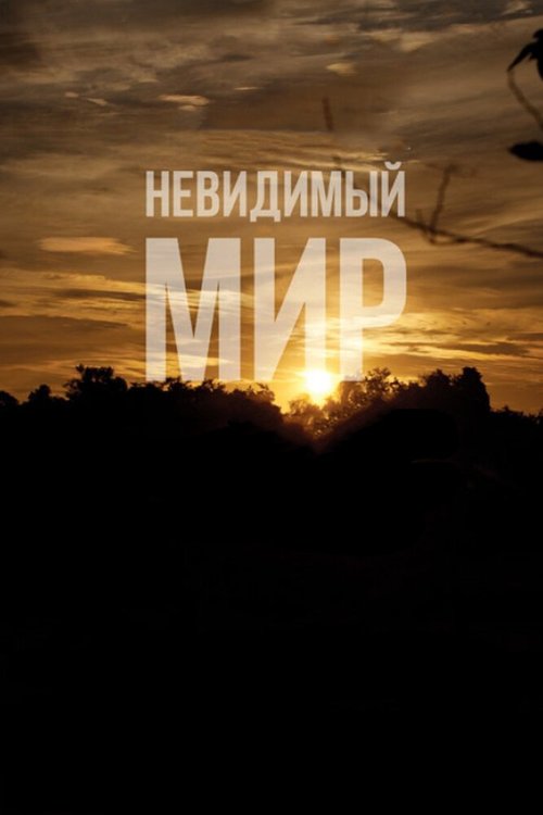 Невидимый мир mp4