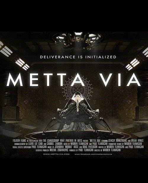 Оцифровка mp4