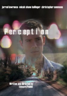 Perception mp4