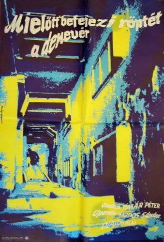 Пока летит летучая мышь mp4