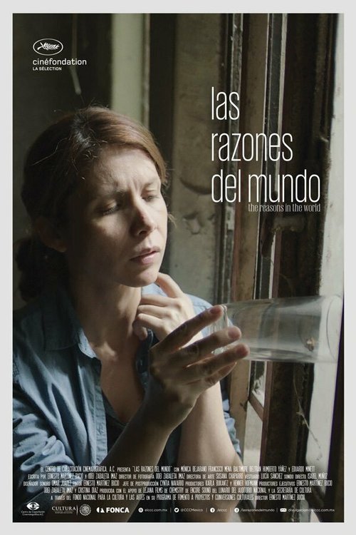 Причины в мире mp4