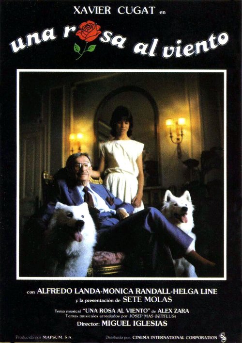 Роза на ветру mp4