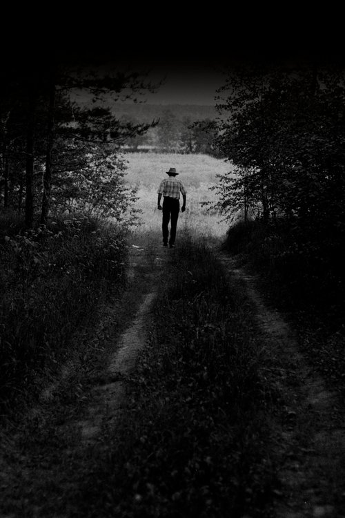 Сентенция mp4