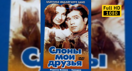 Слоны мои друзья 1971