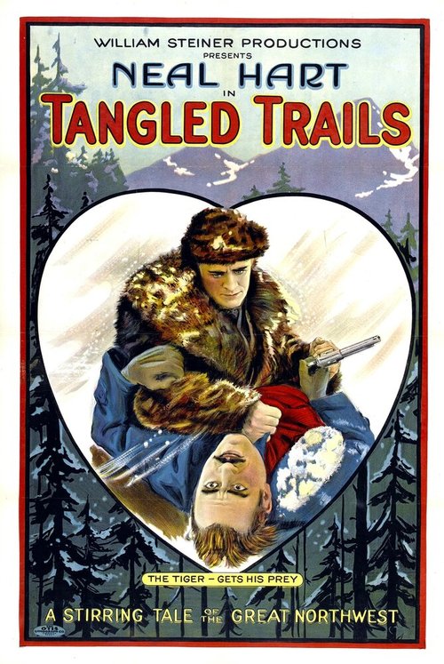 Tangled Trails mp4