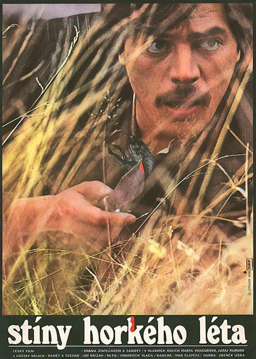 Тени знойного лета mp4