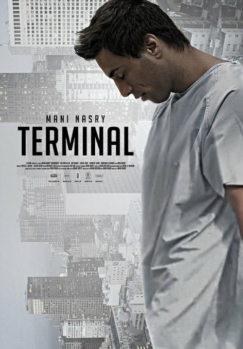 Terminal mp4