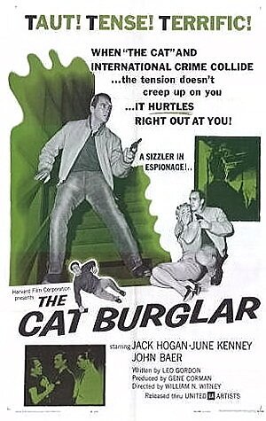 The Cat Burglar mp4